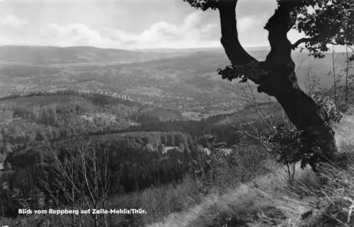 Zella Mehlis Thür Wald Blick vom Ruppberg ngl 182.901