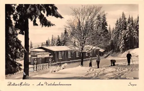 Zella Mehlis Thür Wald Am Veilchenbrunnen gl1961 182.897