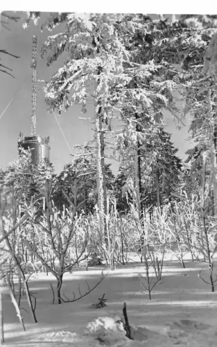 Großer Inselberg im Thüringer Wald gl1962 182.974