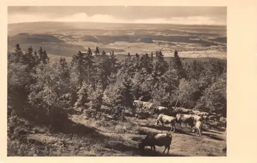 Großer Inselberg Blick nach Norden ngl 182.986