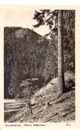 Kanzlersgrund Kleiner Falkenstein gl1958 183.015