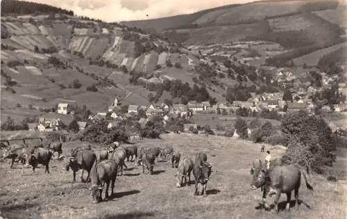 Oberschönau Thür.Wald Panorama ngl 183.018