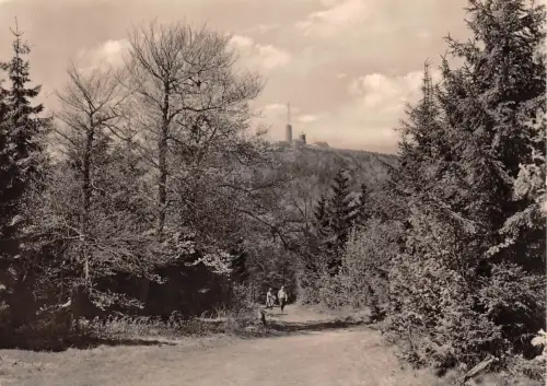 Großer Inselberg im Thüringer Wald ngl 183.003