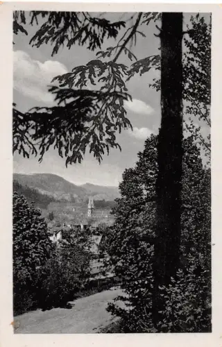 Meiningen Panorama ngl 183.106