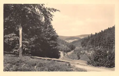 Giessübel Thür.Wald Rennsteigblick ngl 183.152