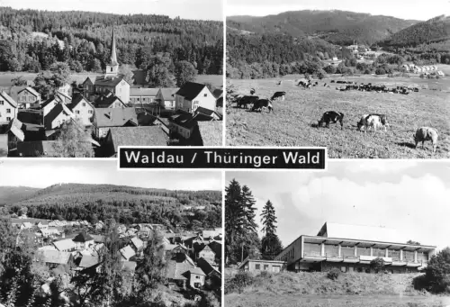 Waldau (Thüringen) Mehrbildkarte gl 183.161
