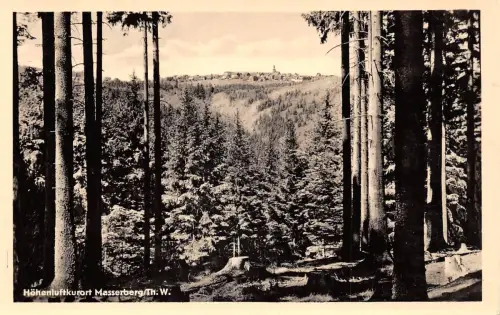 Masserberg Panorama gl1965 183.181