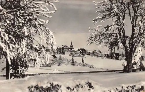 Masserberg Blick zum Schottheim gl1970 183.209
