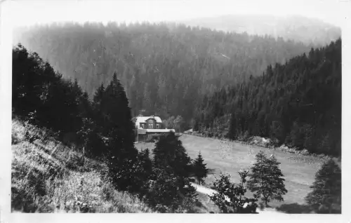 Schönbrunn i.Th. Tannenmühle ngl 183.242