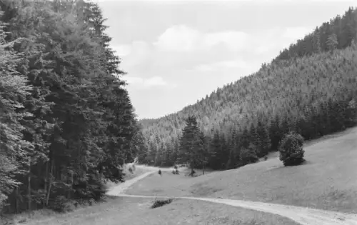 Schönbrunn i.Th. Landschaft ngl 183.247