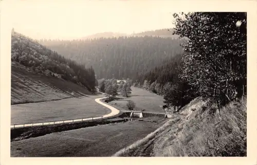 Schönbrunn i.Th. Tannenmühle ngl 183.246