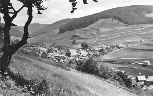 Schönbrunn i.Th. Panorama ngl 183.249