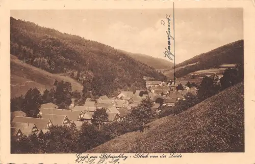Biberschlag/Thür. Blick von der Leide gl 183.272