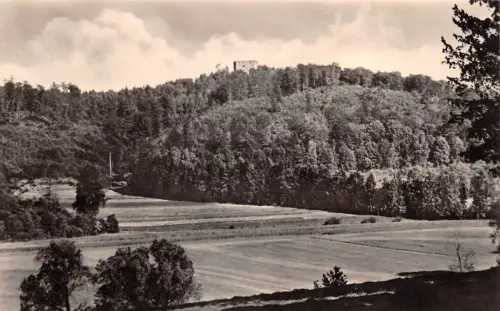 Bad Liebenstein Blick zur Ruine ngl 183.396