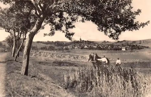 Pennewitz Panorama ngl 183.456