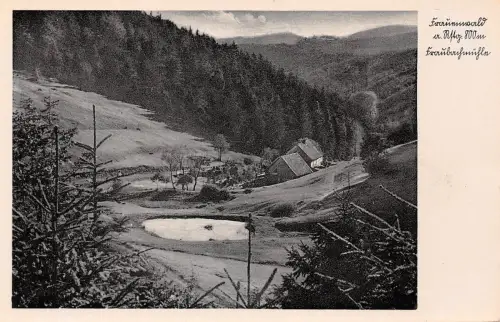 Frauenwald/Thür. Fraubachmühle ngl 183.479