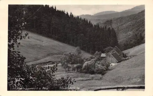 Frauenwald/Thür. Fraubachmühle gl1962 183.477