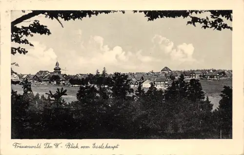 Frauenwald/Thür. Blick vom Eselshaupt gl1938 183.481