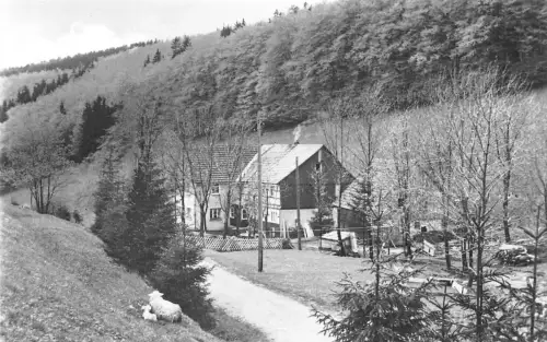Frauenwald/Thür. Gaststätte Fraubachmühle ngl 183.485