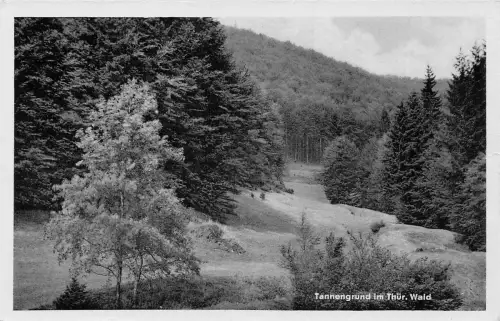 Neustadt a. Rennstg. Tannengrund ngl 183.586