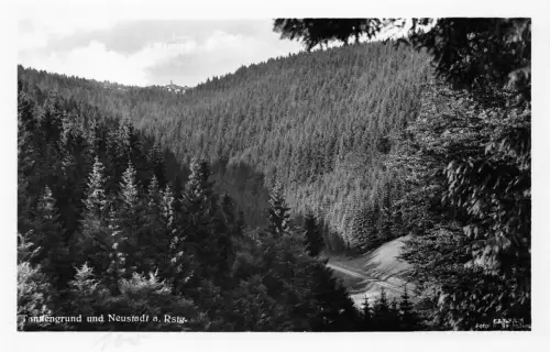 Neustadt a. Rennstg. Tannengrund ngl 183.587