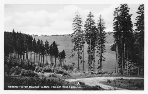 Neustadt a. Rennstg. von der Haube gesehen ngl 183.589