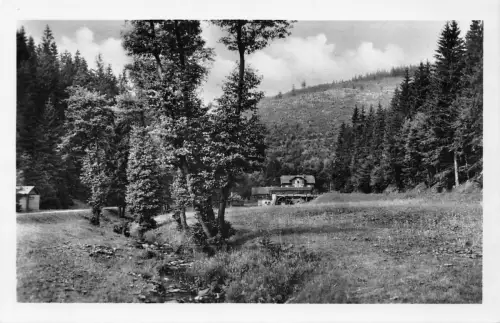 Neustadt a. Rennstg. Tannengrund mit Tannenmühle ngl 183.593