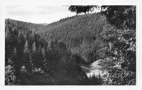 Neustadt a. Rennstg. Tannengrund ngl 183.590