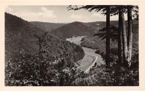 Neustadt a. Rennstg. Tannengrund ngl 183.592