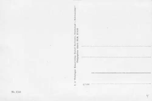 Neustadt a. Rennstg. Panorama ngl 183.579