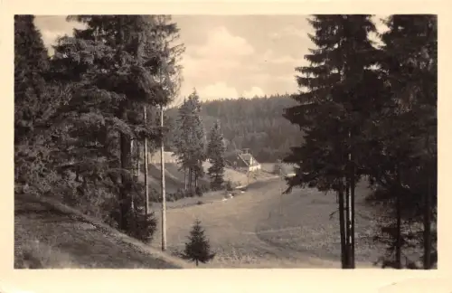 Schmiedefeld a. Rennsteig Blick zum Alten Hammer gl1961 183.610