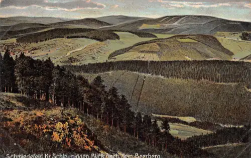 Schmiedefeld a. Rennsteig Blick nach dem Beerberg Künstlerkarte gl1909 183.620
