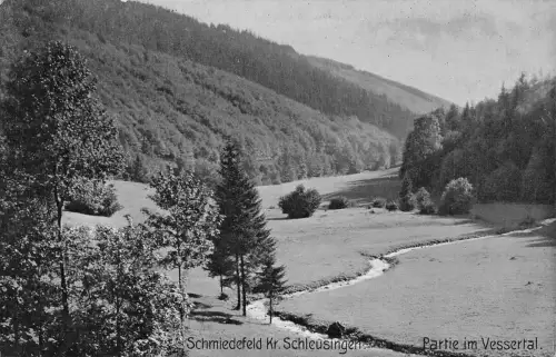 Schmiedefeld a. Rennsteig Partie im Vessertal ngl 183.619