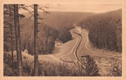 Schmiedefeld a. Rennsteig Zahnradbahn ngl 183.624