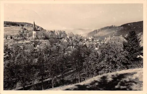 Stützerbach i.Th. Panorama gl 183.644