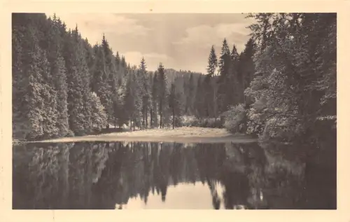 Stützerbach i.Th. Abendstille am Knöpfelstaler Teich ngl 183.651