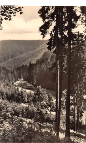 Stützerbach i.Th. Schortetal ngl 183.663