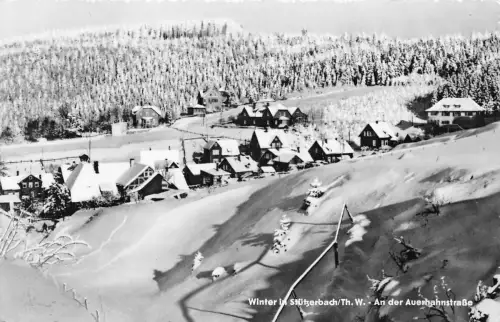 Stützerbach i.Th. An der Auerhahnstraße gl 183.667