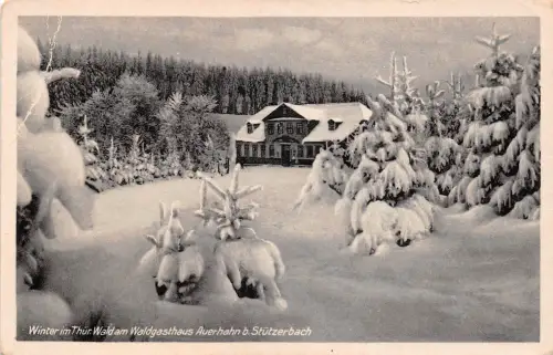 Stützerbach i.Th. Waldgasthaus Auerhahn im Winter ngl 183.647