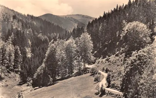 Ilmenau das schöne Schortetal ngl 183.733