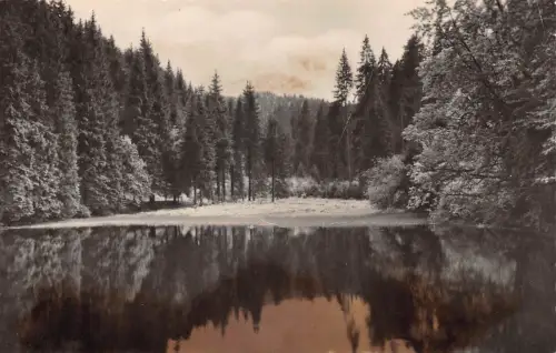 Ilmenau Knöpfelstaler Teich gl1960 183.744