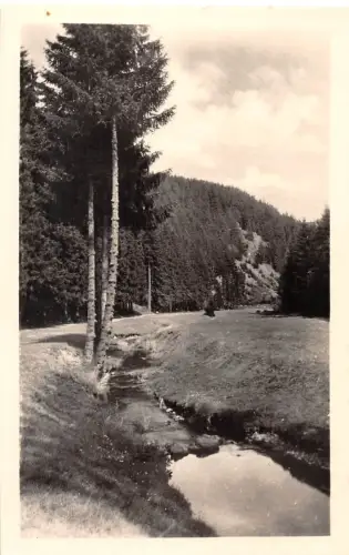 Ilmenau Schobsetal mit Hexenstein ngl 183.715