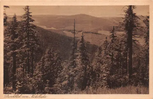 Ilmenau Durchblick zum Kickelhahn ngl 183.752