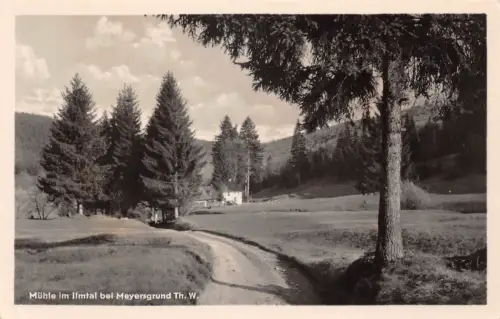 Ilmenau Mühle im Ilmtal ngl 183.747