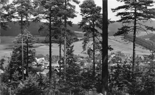Meura in Thür. Panorama gl1965 183.815