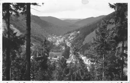 Mellenbach-Glasbach Ortsteil Blumenau gl1958 183.838