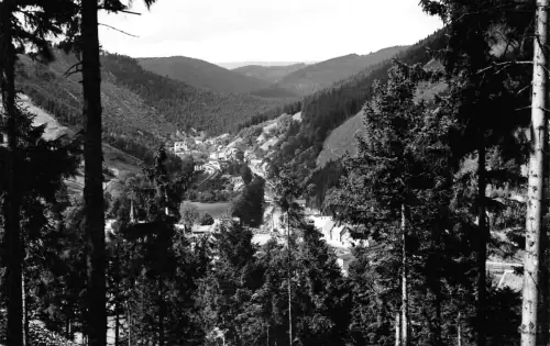 Mellenbach-Glasbach Panorama ngl 183.834