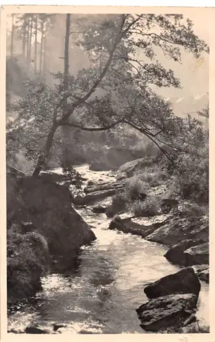 Lichte (Thür.) Ortsteil Geiersthal ngl 183.831