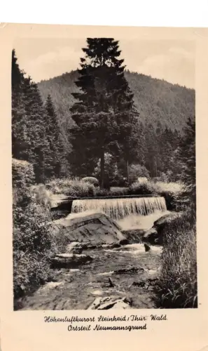 Steinheid im Thüringer Wald Neumannsgrund gl1956 183.859