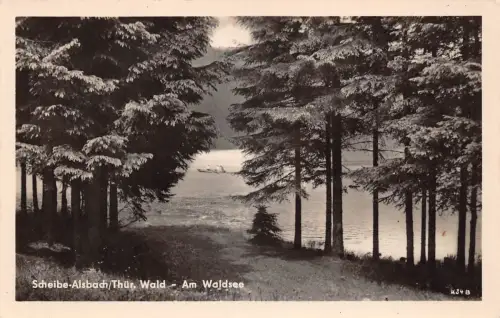 Scheibe-Alsbach Am Waldsee ngl 183.876